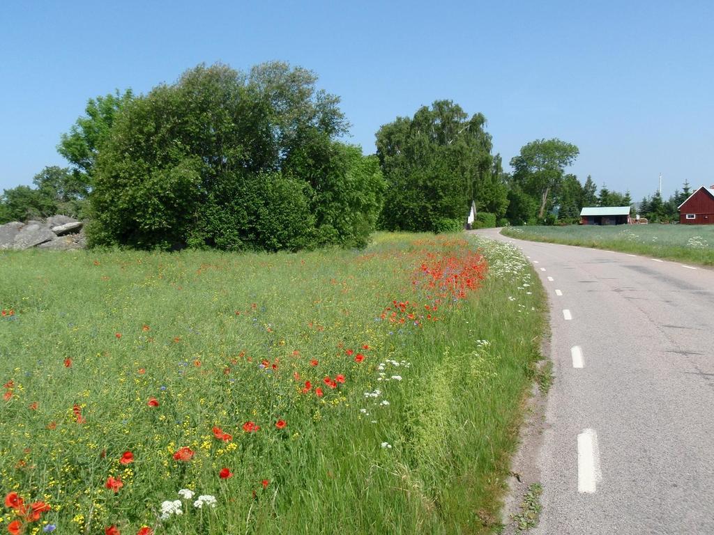 Takern Vandrarhem Svanshals Luaran gambar