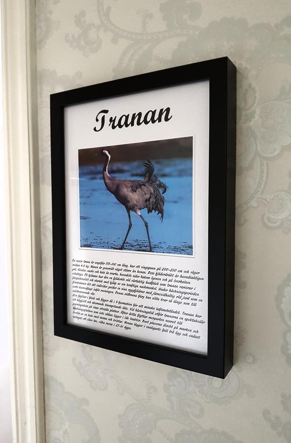 Takern Vandrarhem Svanshals Luaran gambar