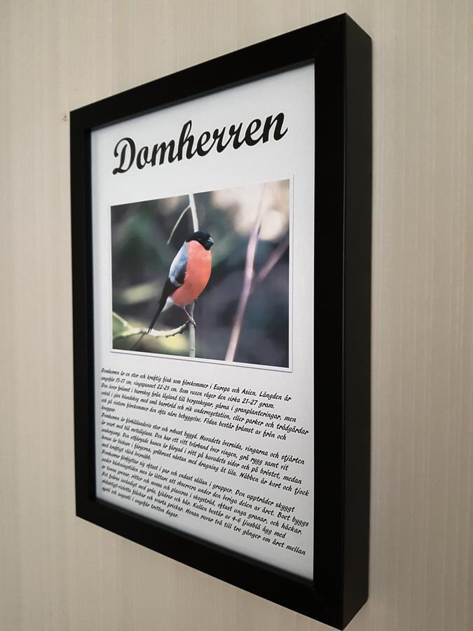Takern Vandrarhem Svanshals Luaran gambar