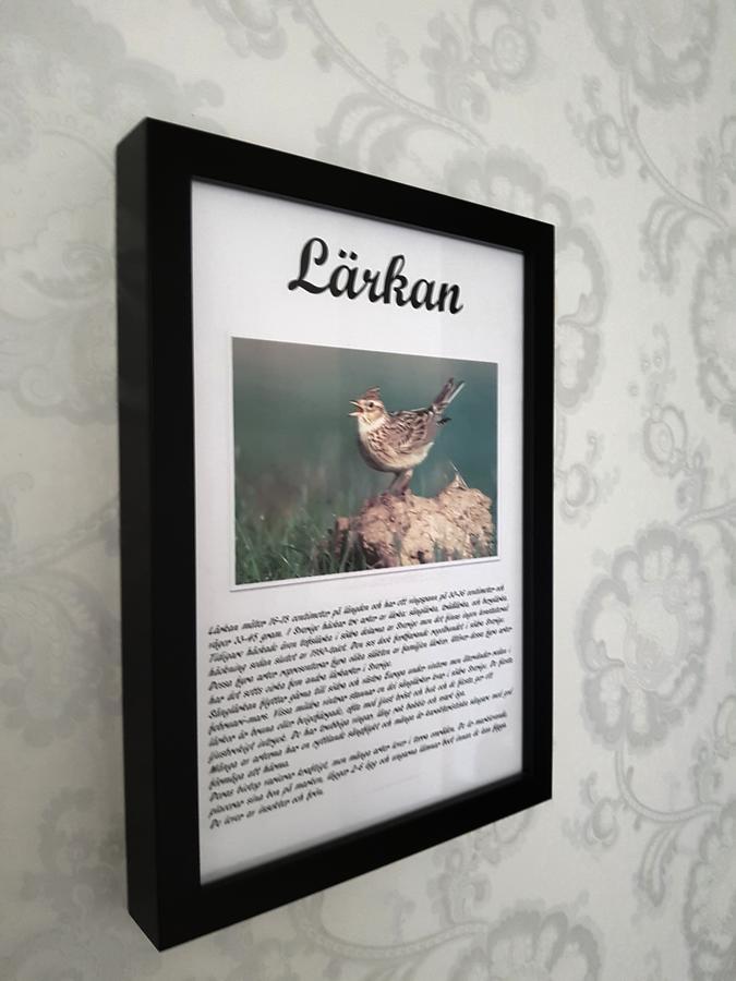 Takern Vandrarhem Svanshals Luaran gambar
